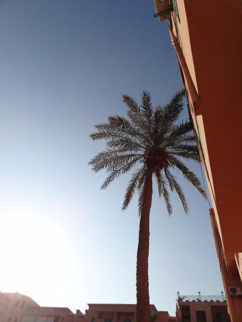 Apartment Twins 12 Marrakesh Esterno foto